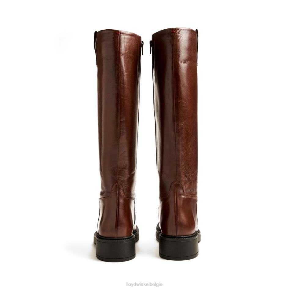 laars vrouwen LLOYD bruin schoenen ZJ6BL1193