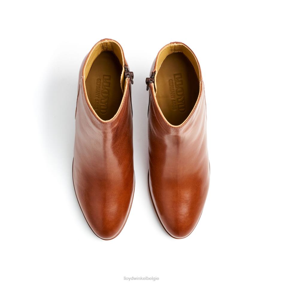 leren enkellaarsjes vrouwen LLOYD bruin schoenen ZJ6BL921
