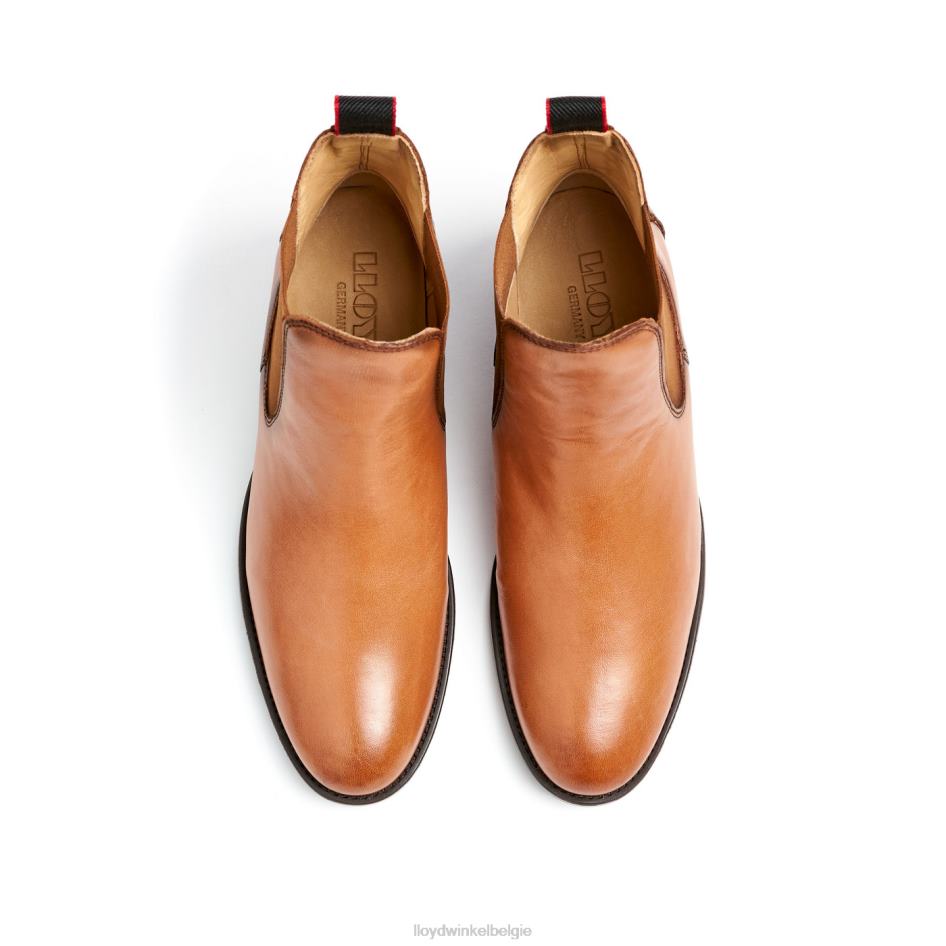 leren enkellaarsjes vrouwen LLOYD bruin schoenen ZJ6BL929