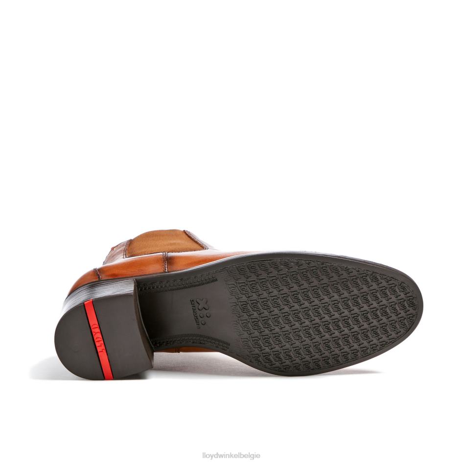 leren enkellaarsjes vrouwen LLOYD bruin schoenen ZJ6BL929
