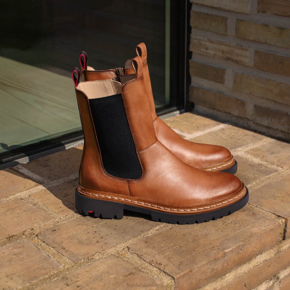 stiefelette vrouwen LLOYD bruin schoenen ZJ6BL963