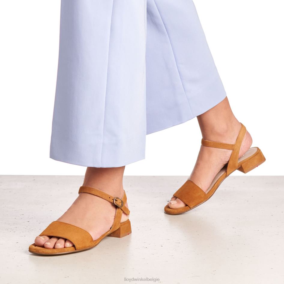 Suede oppervlak sandaal vrouwen LLOYD bruin schoenen ZJ6BL1158