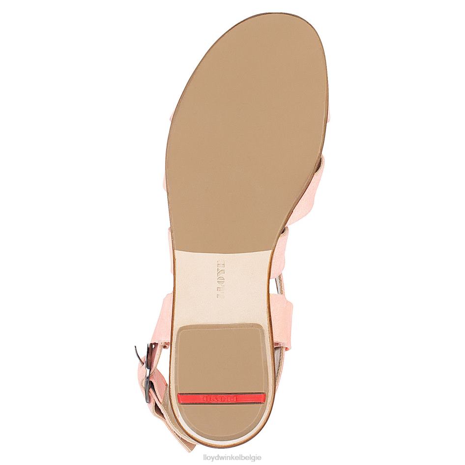 Suede oppervlak sandaal vrouwen LLOYD roze schoenen ZJ6BL1360