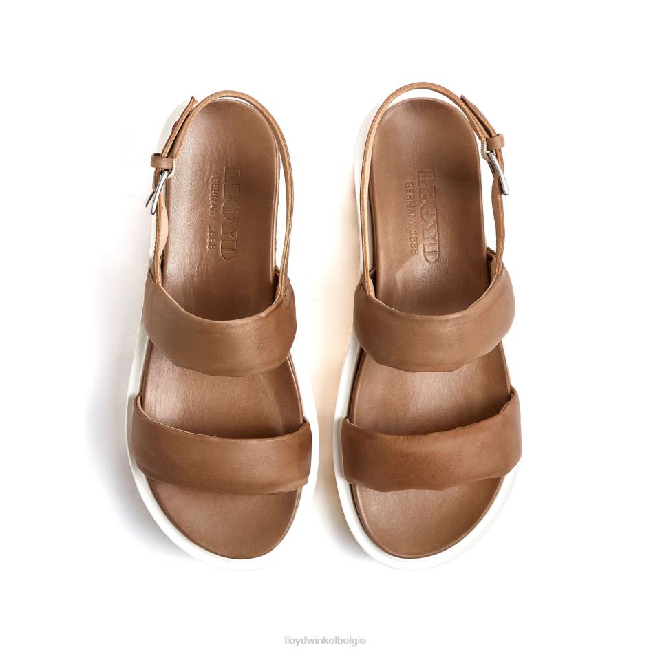 lichte sandalen vrouwen LLOYD beige schoenen ZJ6BL1202