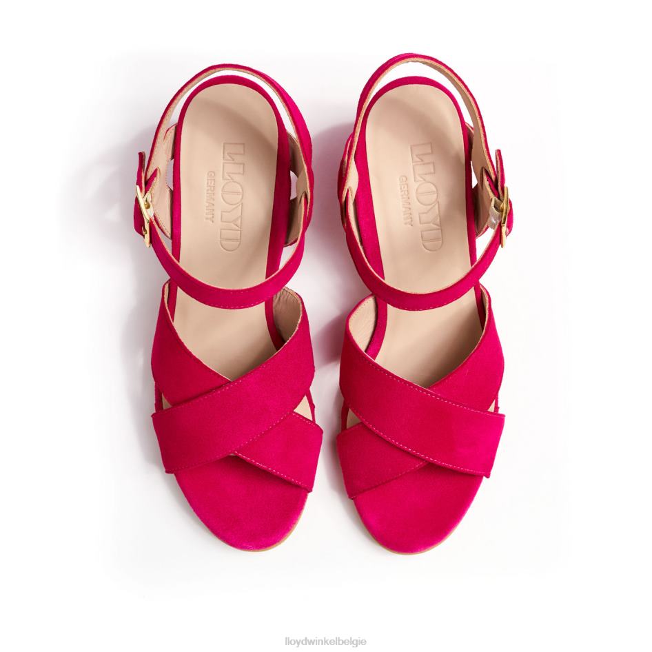 lichte sandalen vrouwen LLOYD roze schoenen ZJ6BL1162