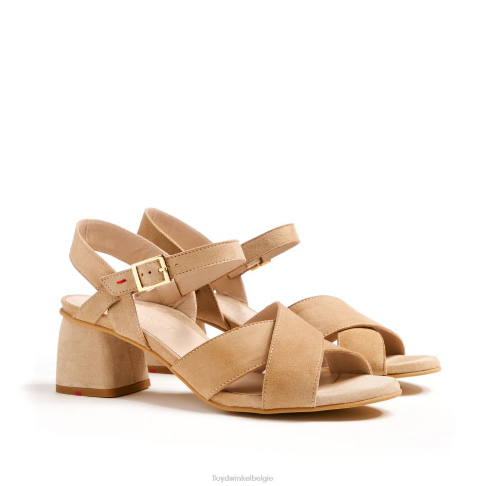 luchtige sandalen vrouwen LLOYD beige schoenen ZJ6BL1157