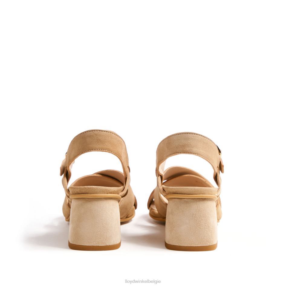 luchtige sandalen vrouwen LLOYD beige schoenen ZJ6BL1157