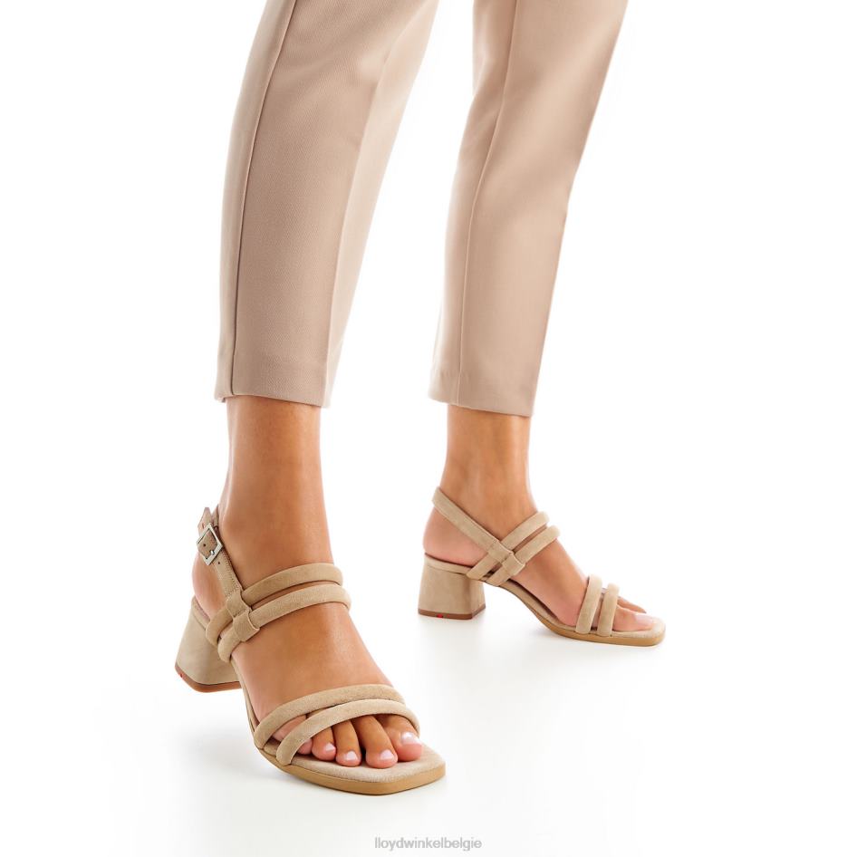 luchtige sandalen vrouwen LLOYD beige schoenen ZJ6BL1163