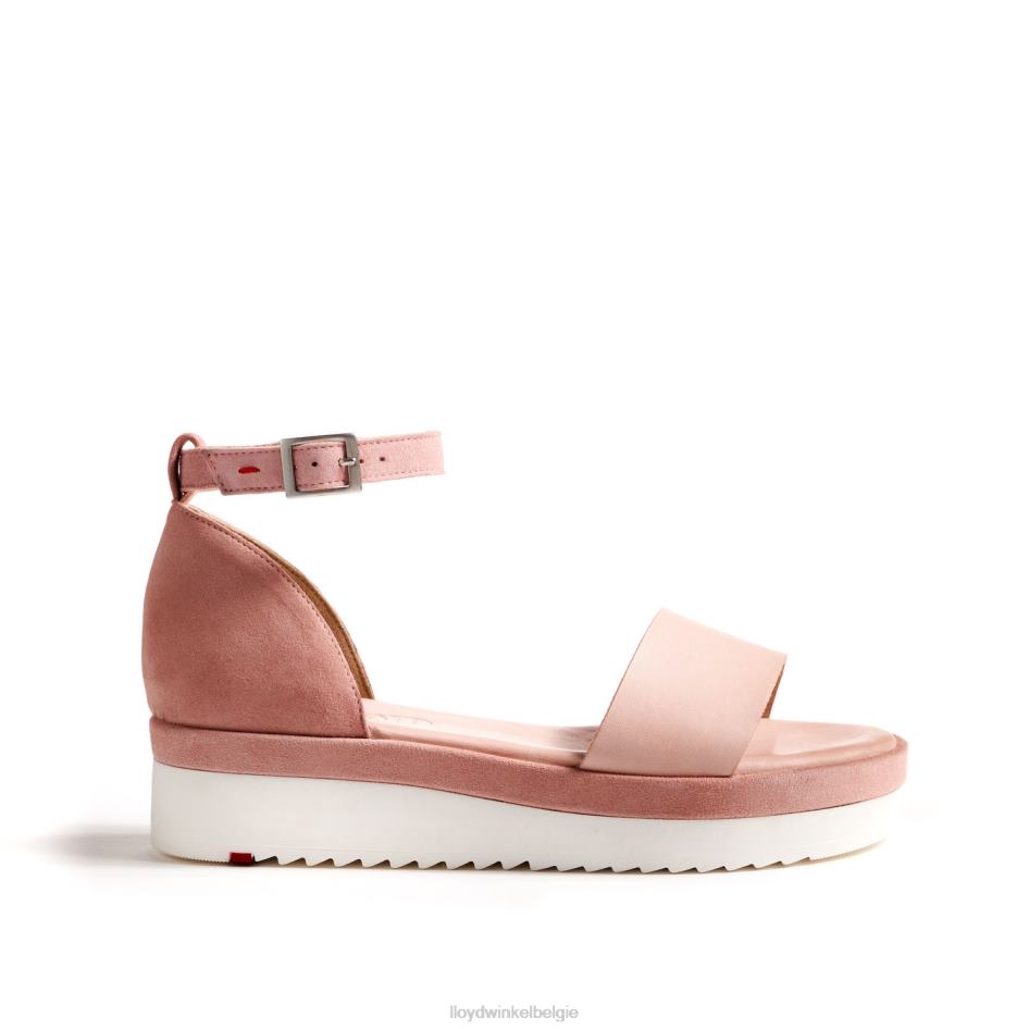 luchtige sandalen vrouwen LLOYD roze schoenen ZJ6BL1235