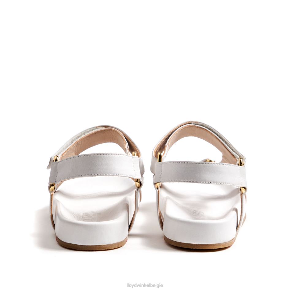 luchtige sandalen vrouwen LLOYD wit schoenen ZJ6BL1205