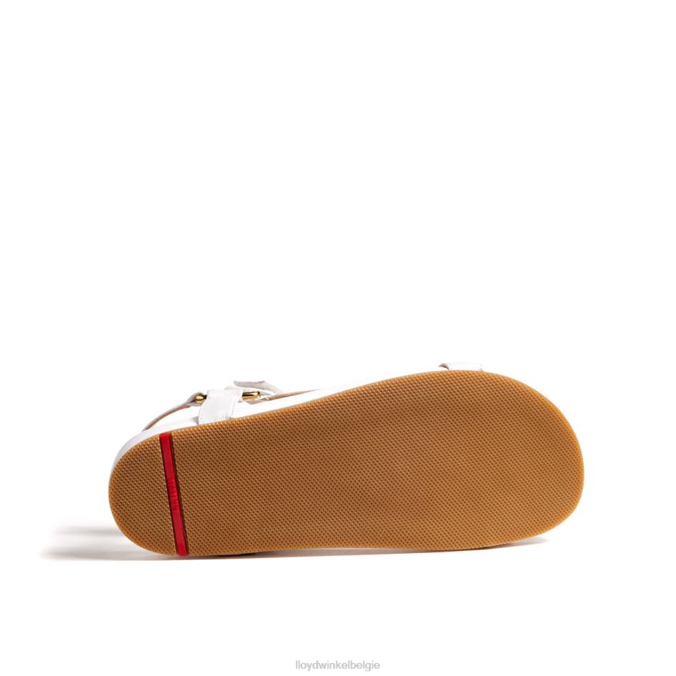 luchtige sandalen vrouwen LLOYD wit schoenen ZJ6BL1205