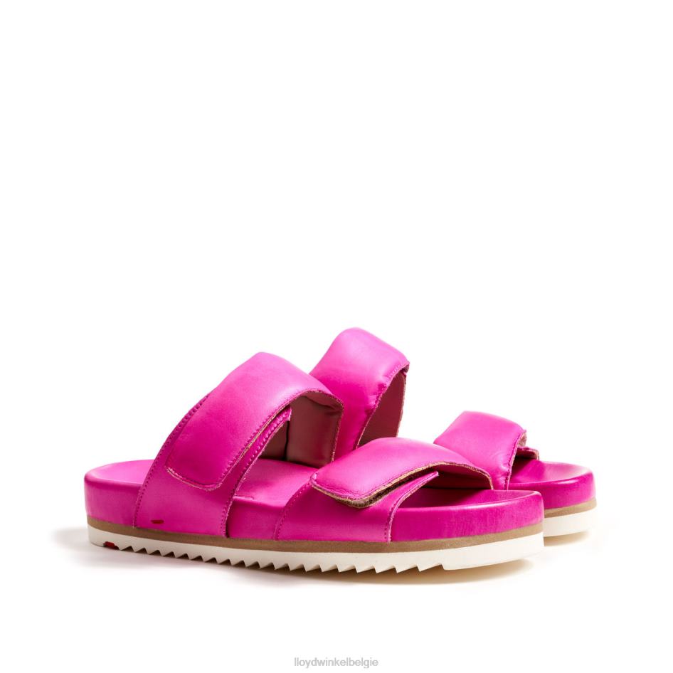 muilezel vrouwen LLOYD roze schoenen ZJ6BL1232