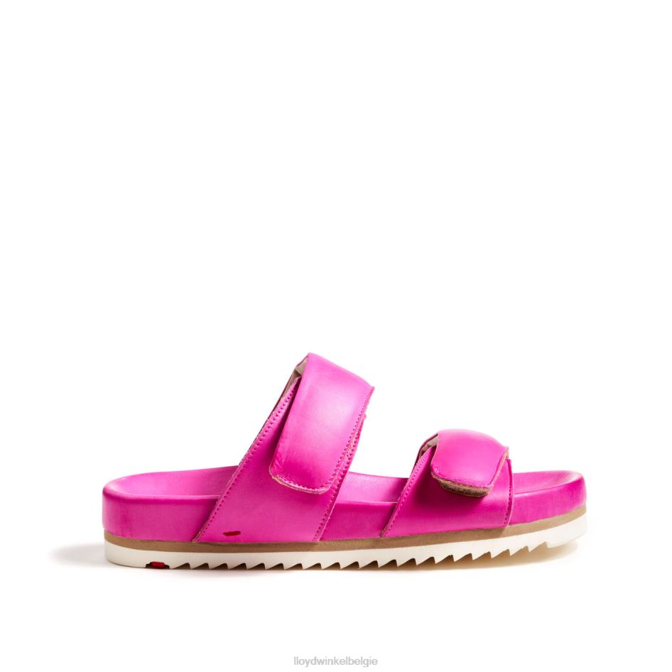 muilezel vrouwen LLOYD roze schoenen ZJ6BL1232