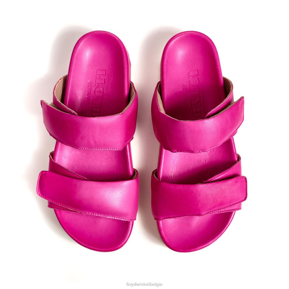 muilezel vrouwen LLOYD roze schoenen ZJ6BL1232