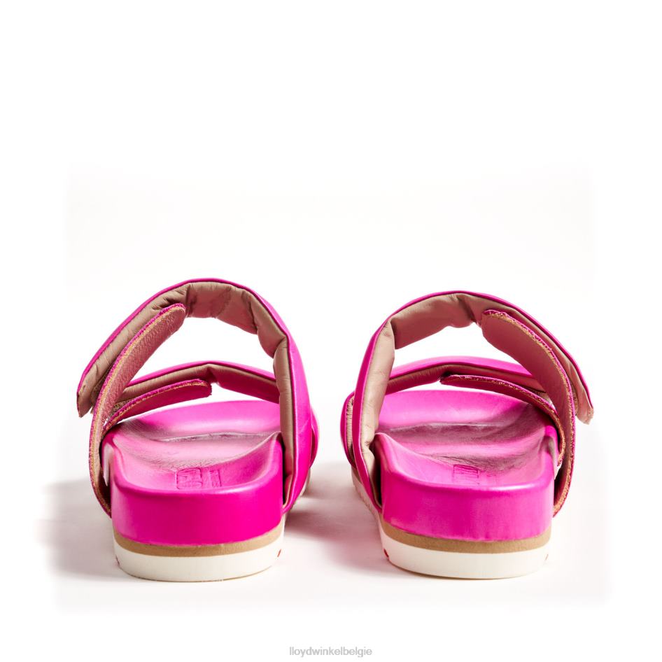 muilezel vrouwen LLOYD roze schoenen ZJ6BL1232