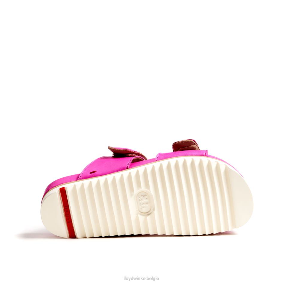 muilezel vrouwen LLOYD roze schoenen ZJ6BL1232