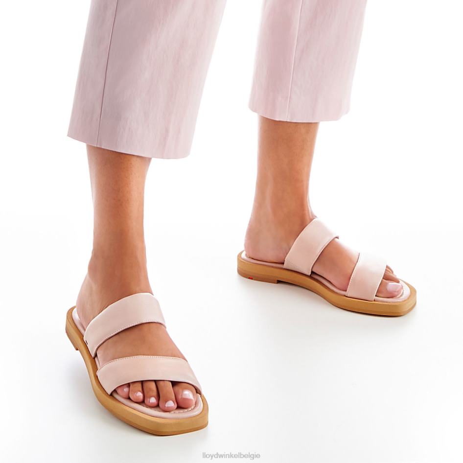 muilezel vrouwen LLOYD roze schoenen ZJ6BL1240