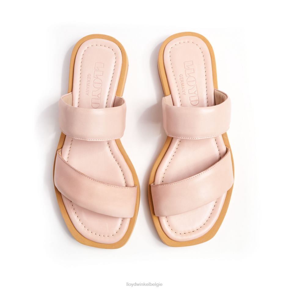 muilezel vrouwen LLOYD roze schoenen ZJ6BL1240