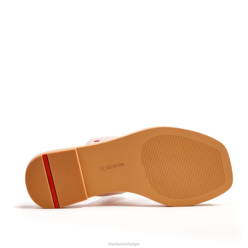 muilezel vrouwen LLOYD roze schoenen ZJ6BL1240