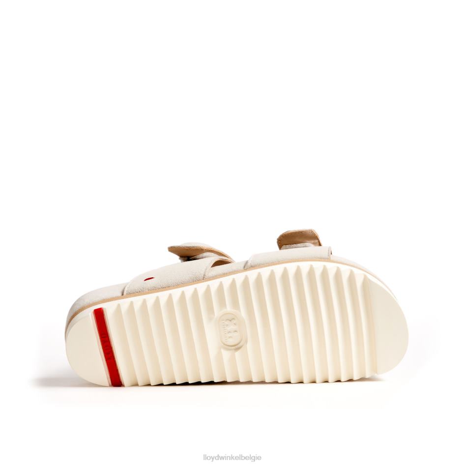 muilezel vrouwen LLOYD wit schoenen ZJ6BL1223