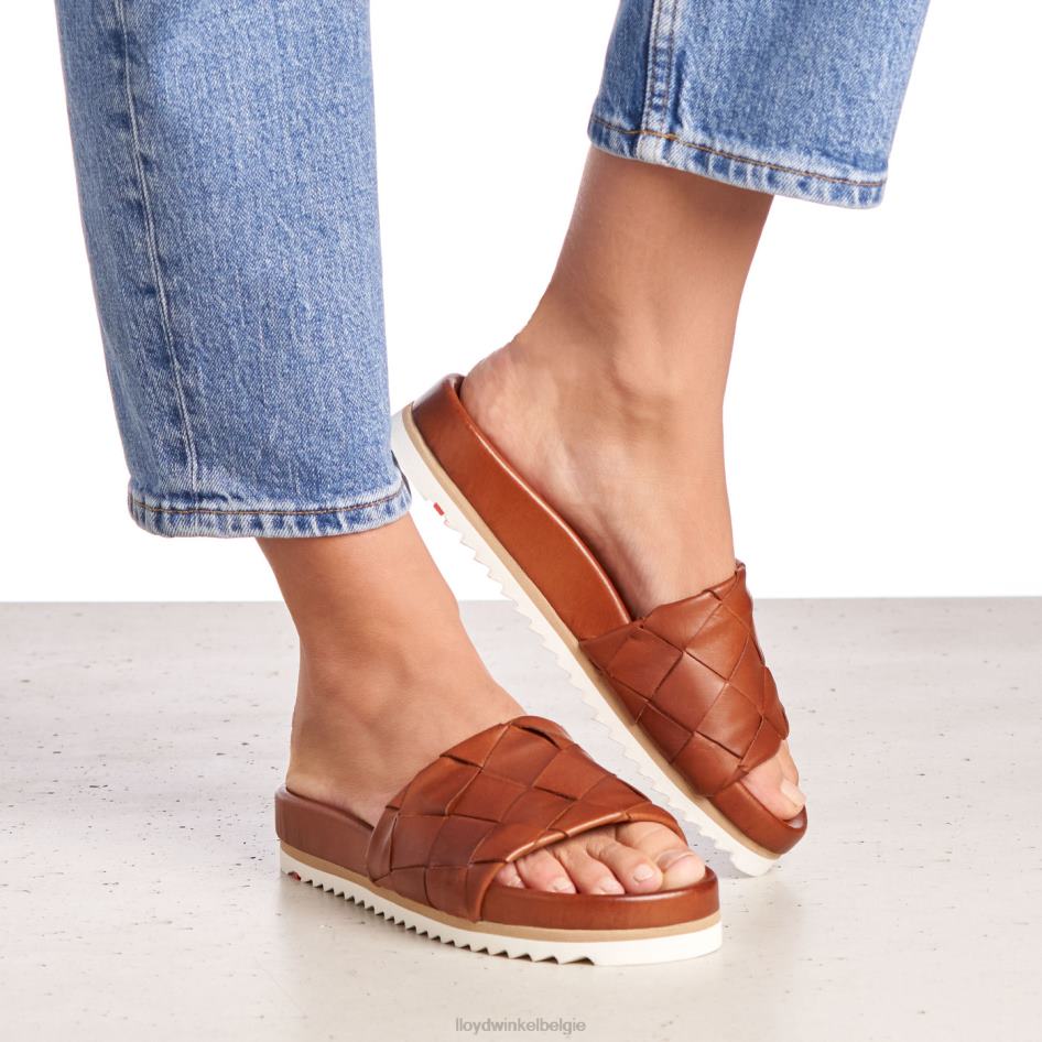 pantalon vrouwen LLOYD bruin schoenen ZJ6BL1227