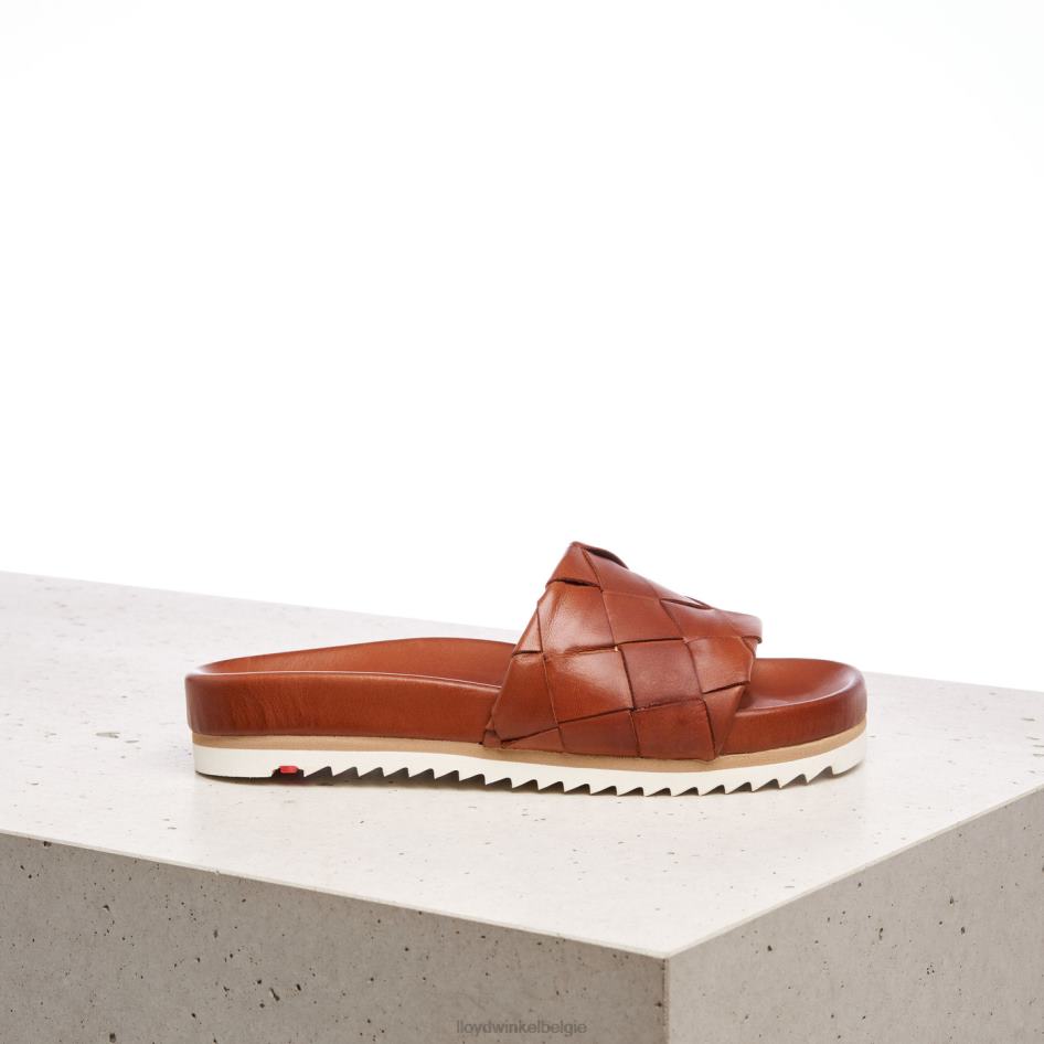 pantalon vrouwen LLOYD bruin schoenen ZJ6BL1227