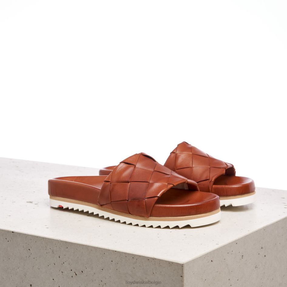 pantalon vrouwen LLOYD bruin schoenen ZJ6BL1227