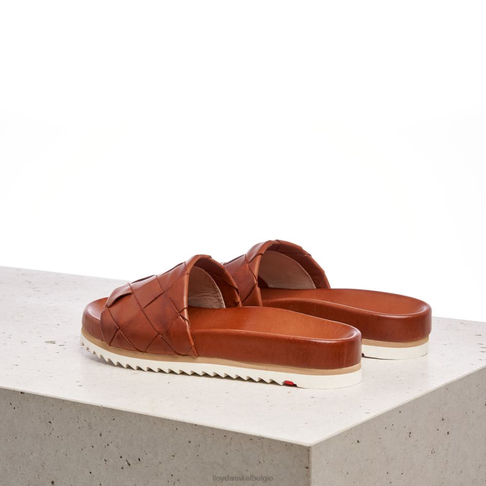 pantalon vrouwen LLOYD bruin schoenen ZJ6BL1227