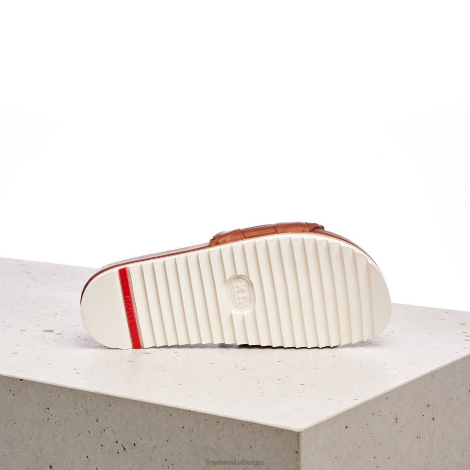 pantalon vrouwen LLOYD bruin schoenen ZJ6BL1227