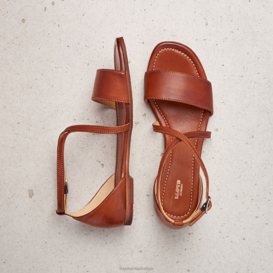 sandaal vrouwen LLOYD bruin schoenen ZJ6BL1253