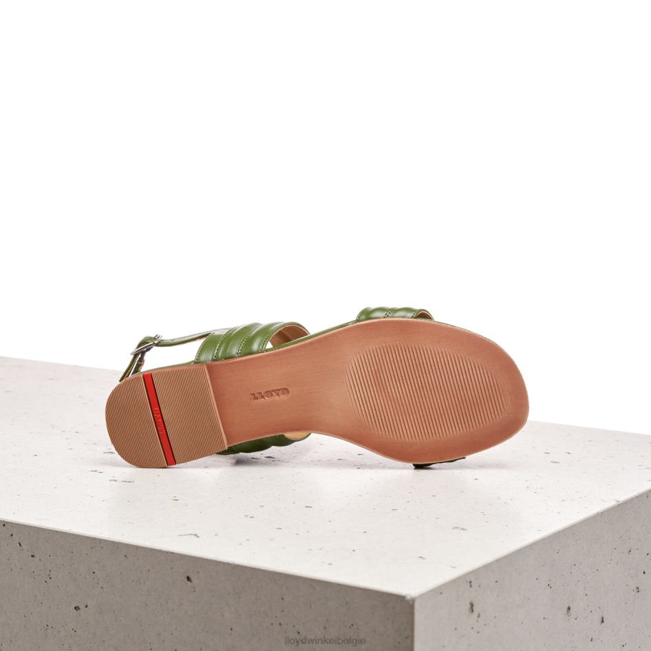 sandaal vrouwen LLOYD groente schoenen ZJ6BL1244