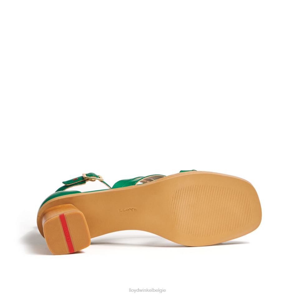 sandalen vrouwen LLOYD groente schoenen ZJ6BL1203