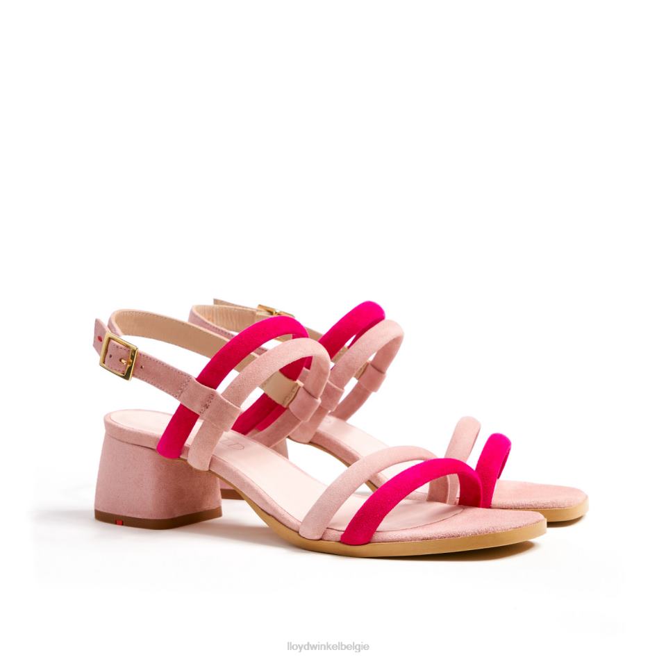 sandalen vrouwen LLOYD roze schoenen ZJ6BL1167