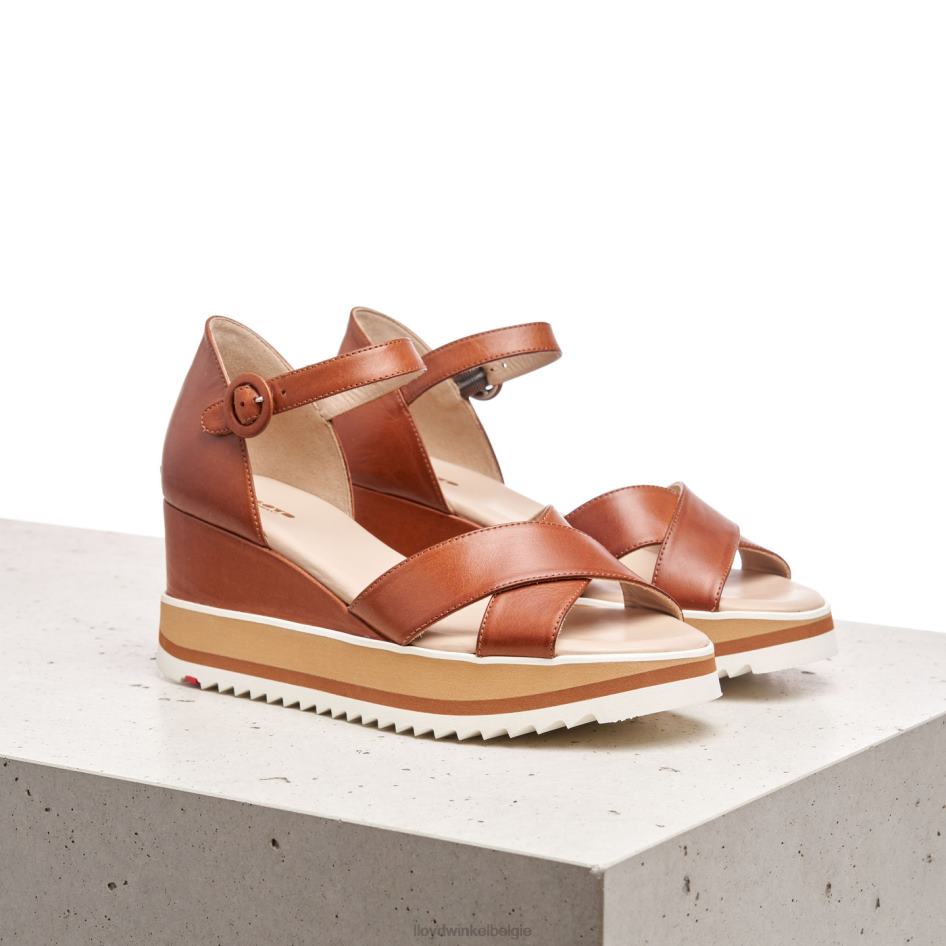 sleehak sandaal vrouwen LLOYD bruin schoenen ZJ6BL1204