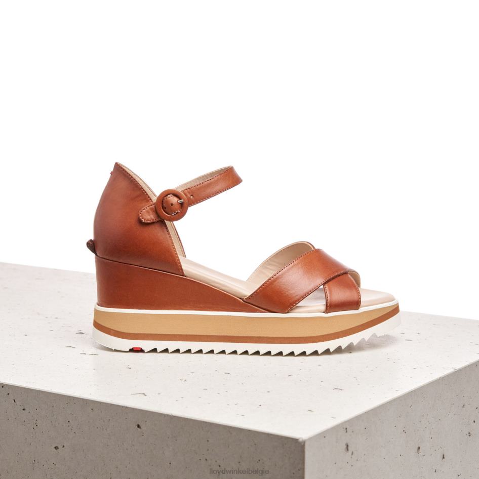 sleehak sandaal vrouwen LLOYD bruin schoenen ZJ6BL1204
