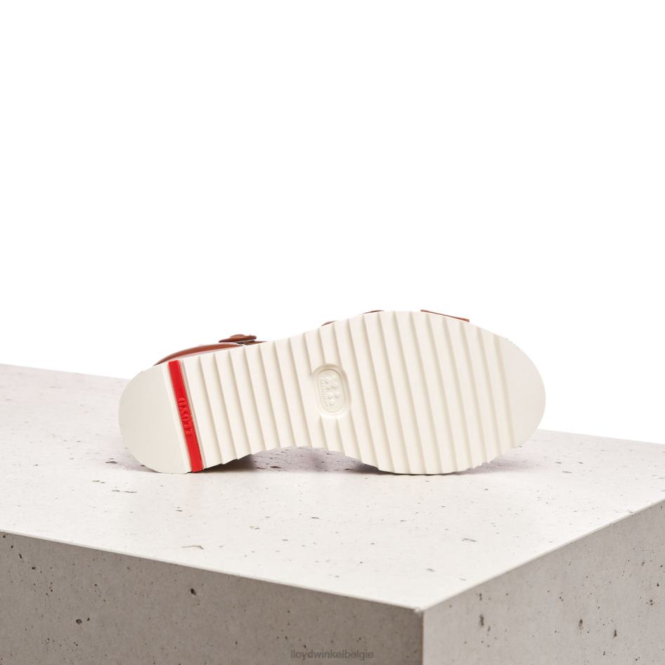 sleehak sandaal vrouwen LLOYD bruin schoenen ZJ6BL1204