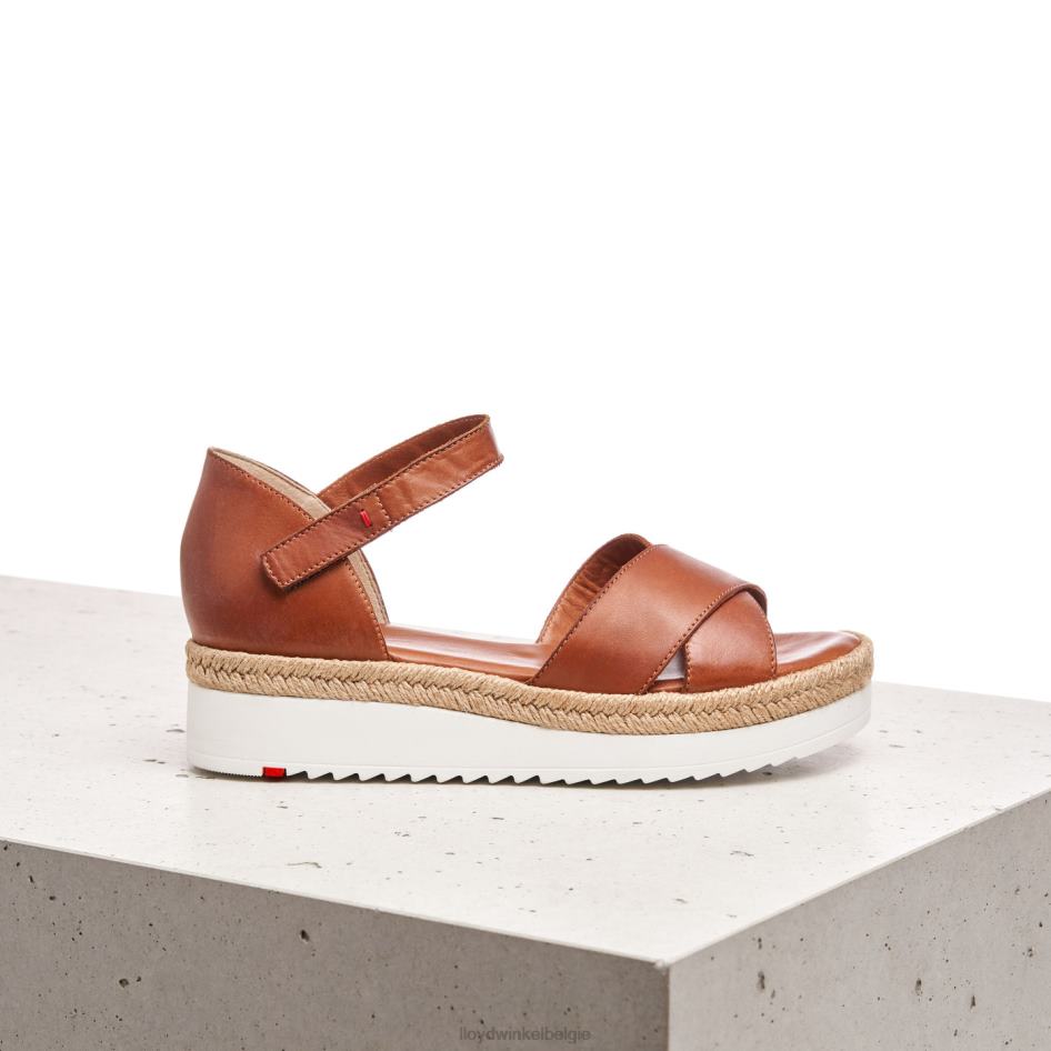 sleehak sandaal vrouwen LLOYD bruin schoenen ZJ6BL1237