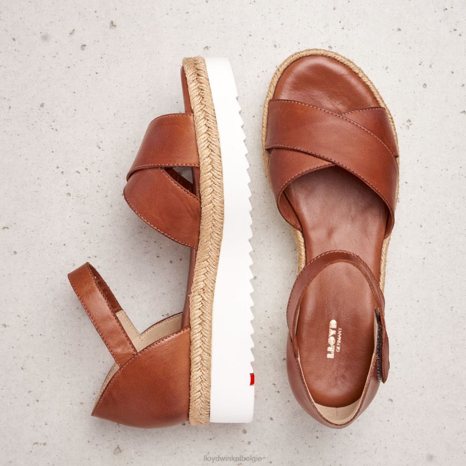 sleehak sandaal vrouwen LLOYD bruin schoenen ZJ6BL1237