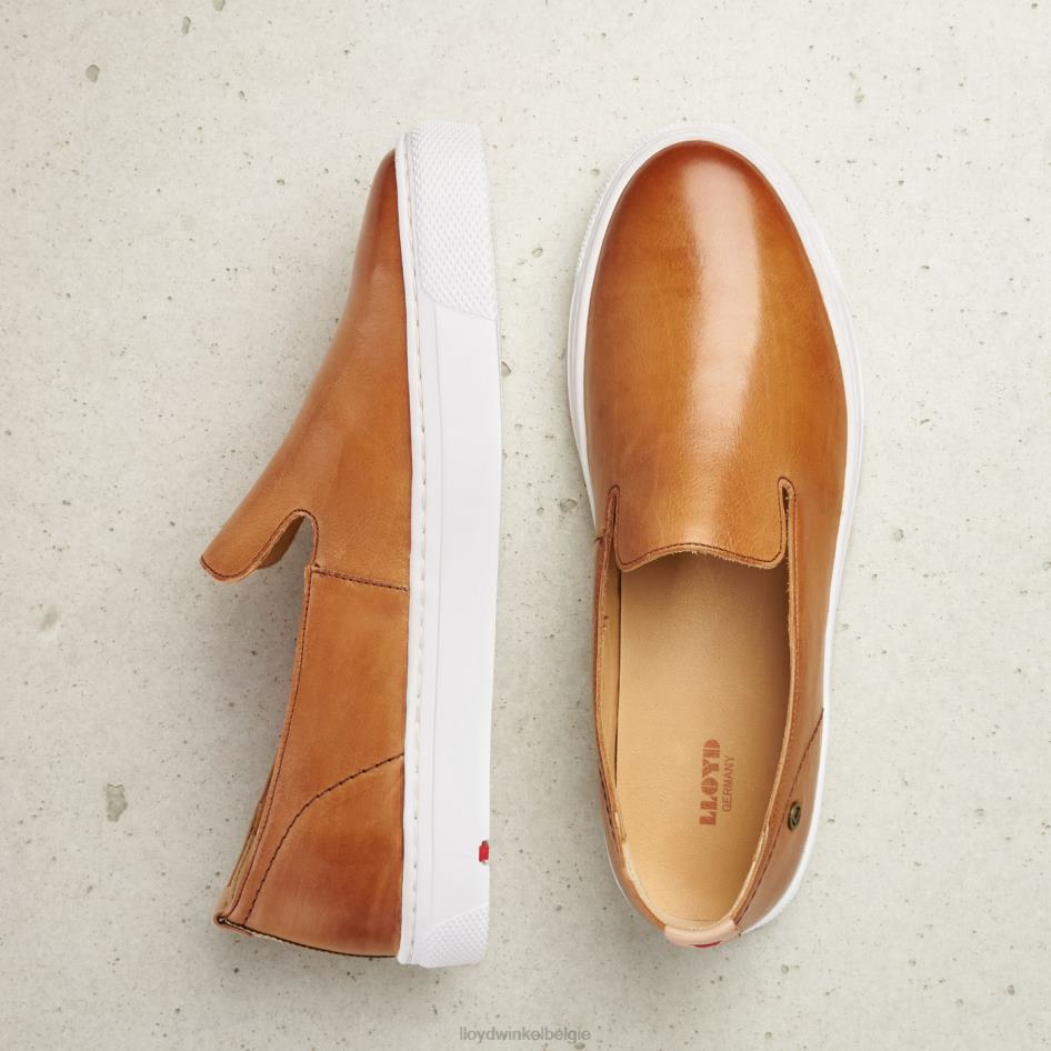 leren pantoffel vrouwen LLOYD bruin schoenen ZJ6BL1349