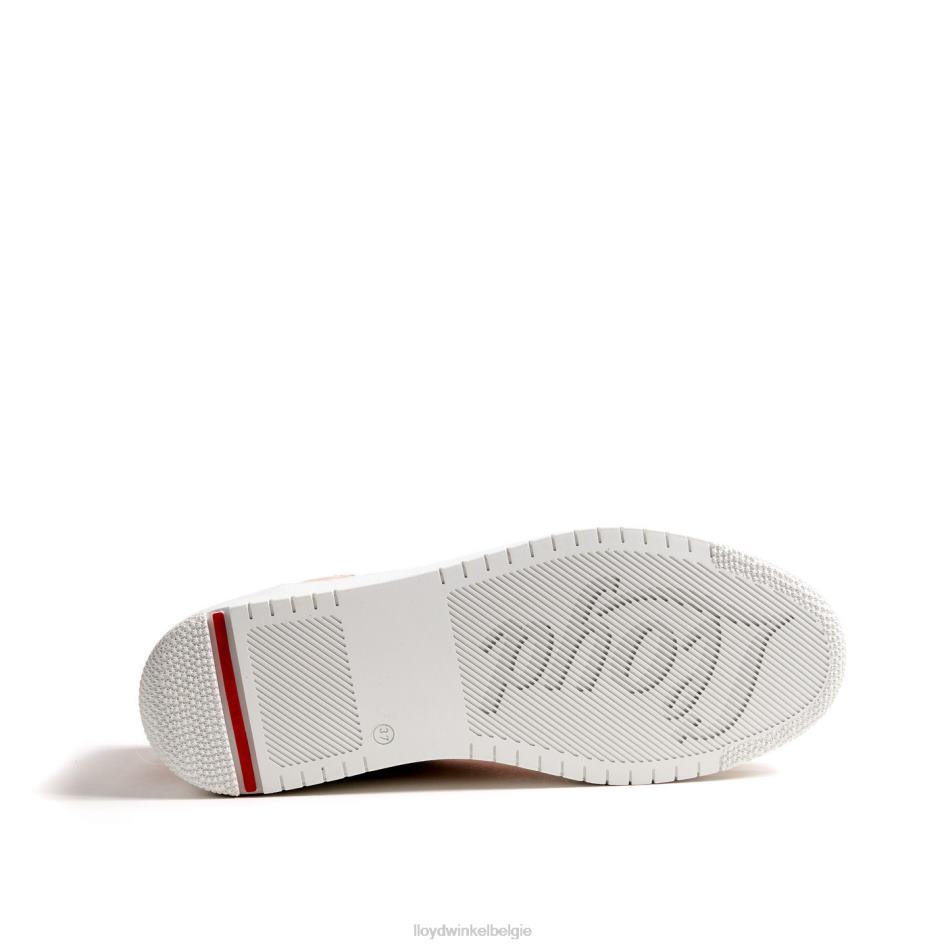 casual sneaker vrouwen LLOYD beige schoenen ZJ6BL871