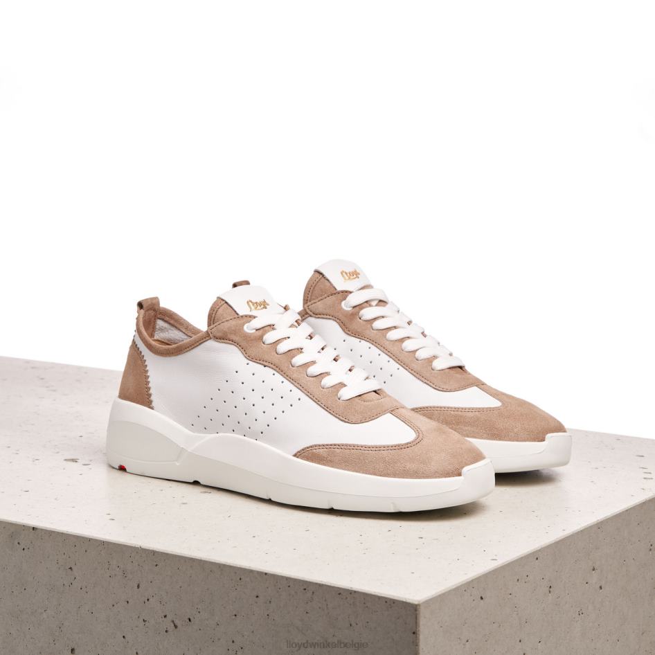 kwalitatieve lage sneakers vrouwen LLOYD beige schoenen ZJ6BL1353