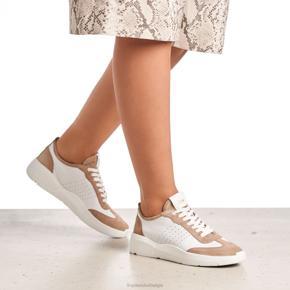 kwalitatieve lage sneakers vrouwen LLOYD beige schoenen ZJ6BL1353