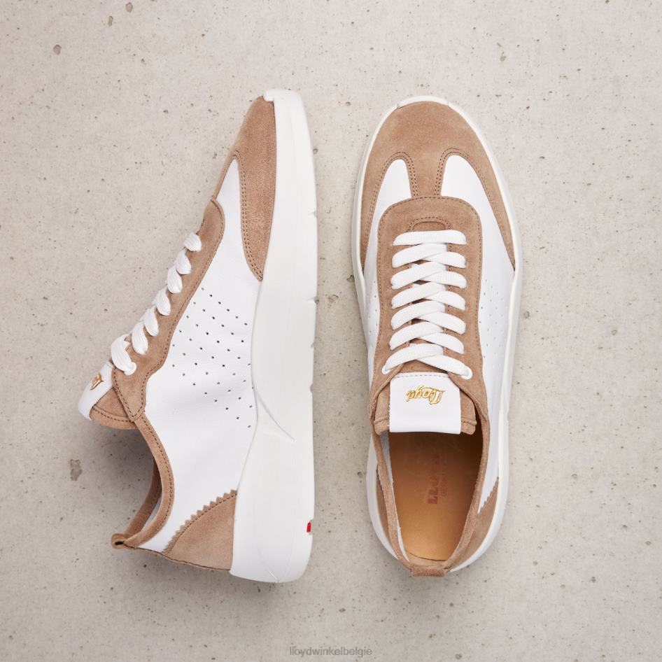 kwalitatieve lage sneakers vrouwen LLOYD beige schoenen ZJ6BL1353