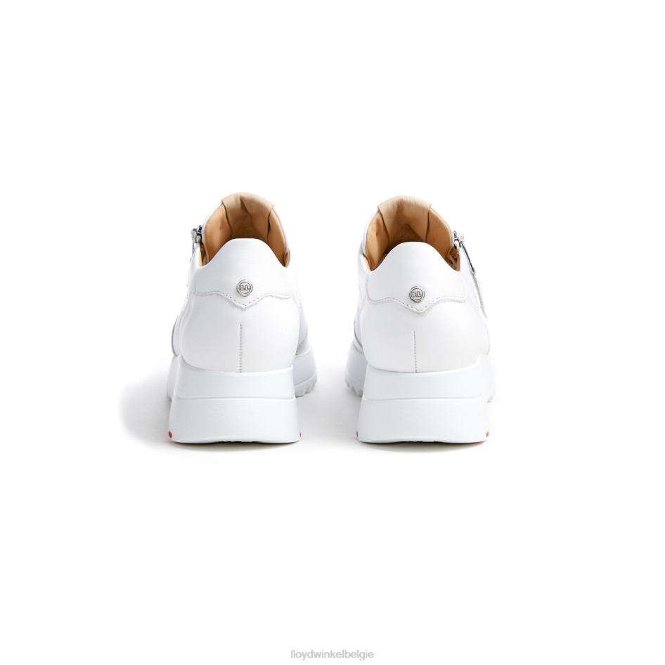 kwalitatieve lage sneakers vrouwen LLOYD wit schoenen ZJ6BL784