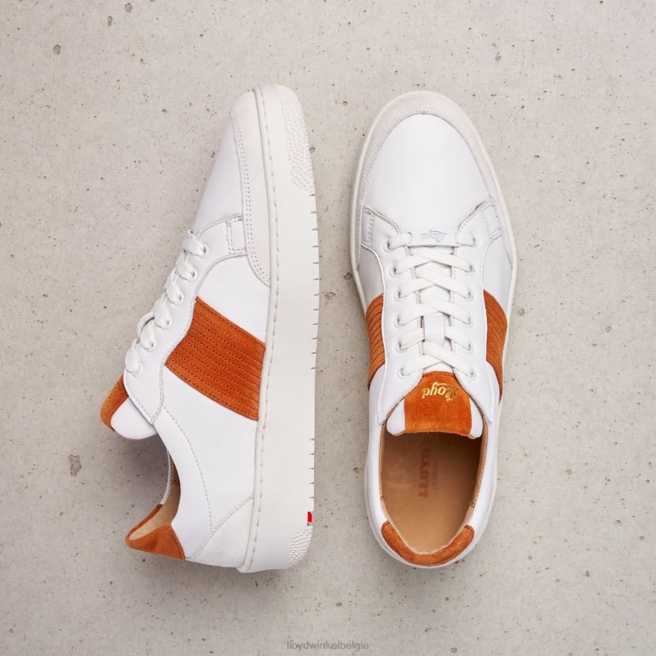 kwalitatieve lage sneakers vrouwen LLOYD wit schoenen ZJ6BL831