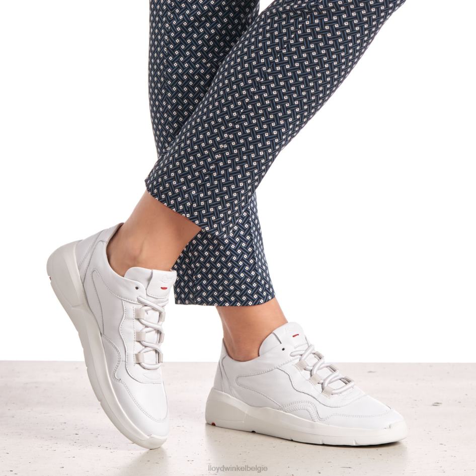 lage leren sneakers vrouwen LLOYD wit schoenen ZJ6BL829