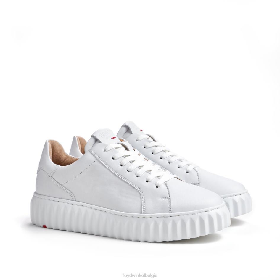 lage sneaker vrouwen LLOYD wit schoenen ZJ6BL761