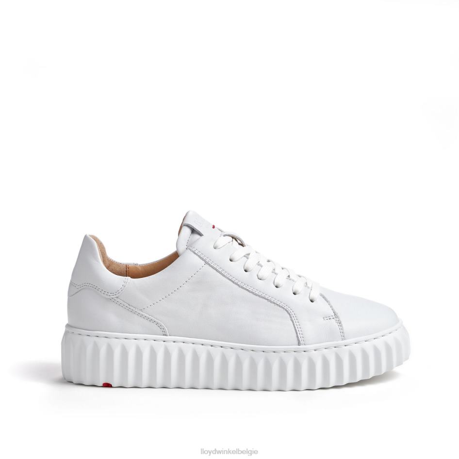 lage sneaker vrouwen LLOYD wit schoenen ZJ6BL761