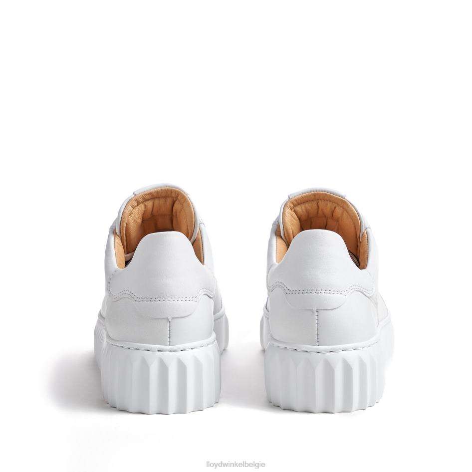 lage sneaker vrouwen LLOYD wit schoenen ZJ6BL761
