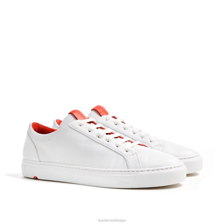 lage sneaker vrouwen LLOYD wit schoenen ZJ6BL786